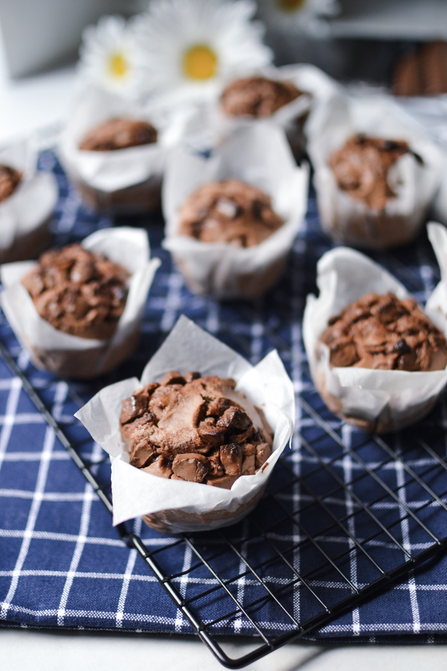Muffins chocolat lait de coco